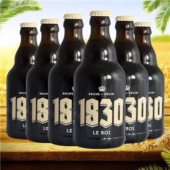 比利时进口啤酒 1830棕色啤酒330ml*6瓶比利时修道院精酿啤酒