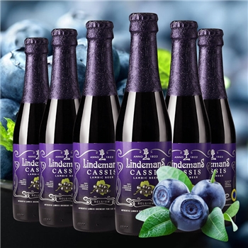 林德曼黑加仑啤酒组合装250ml*6瓶 比利时进口果味啤酒Lindemans